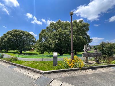 元気の森公園