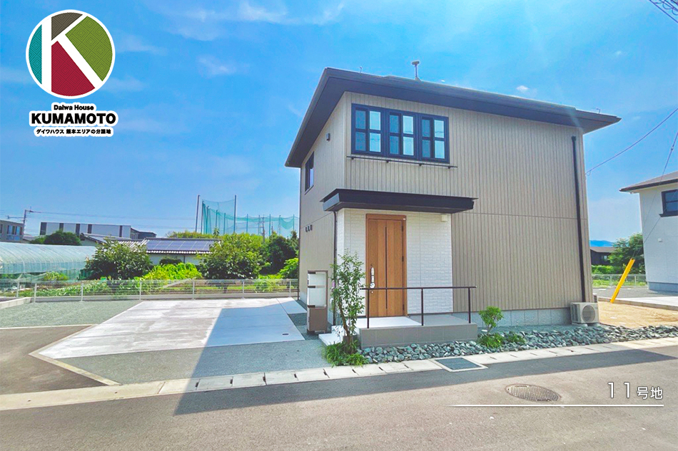 11号地