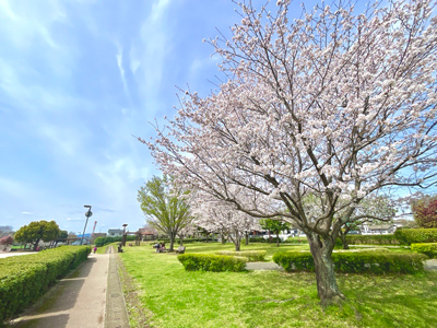 山ノ内中央公園