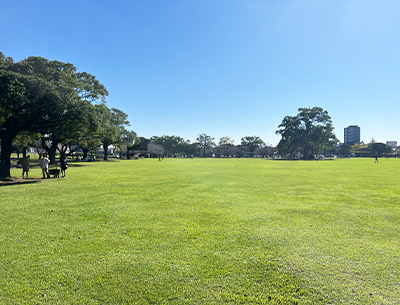 宮崎県総合文化公園