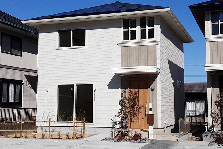 1号地
