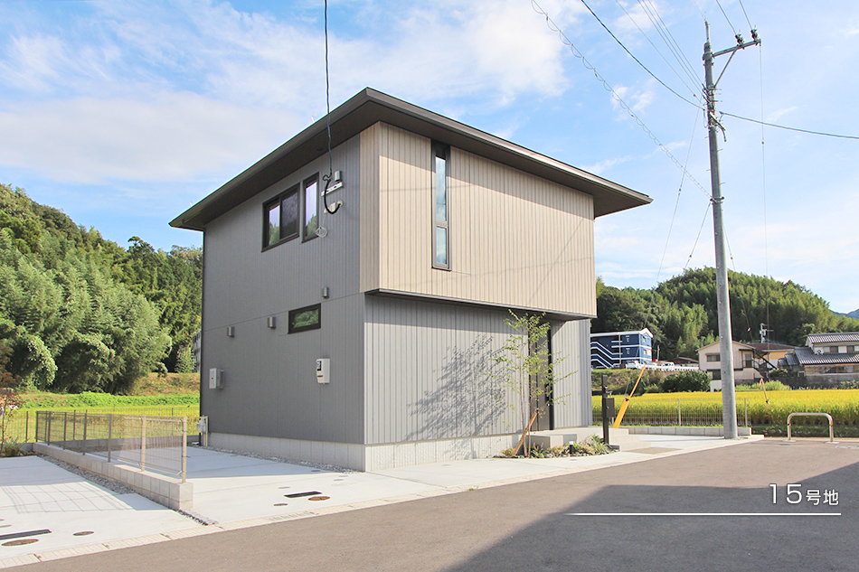 15号地