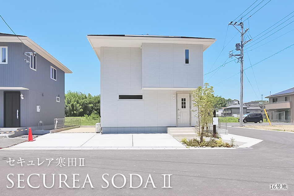 16号地