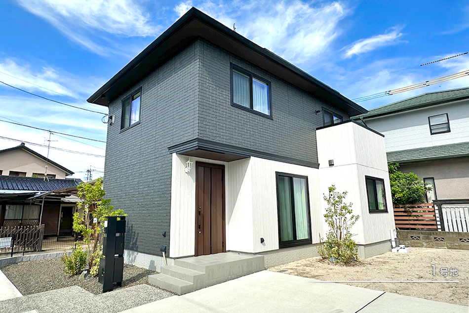 1号地