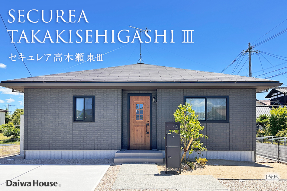 1号地