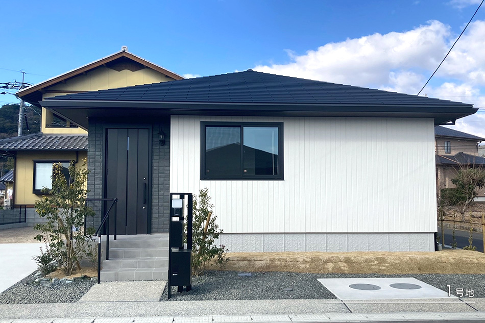 1号地