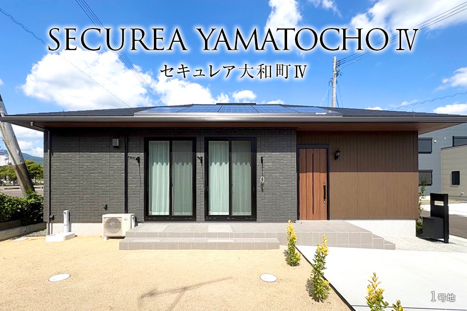 1号地
