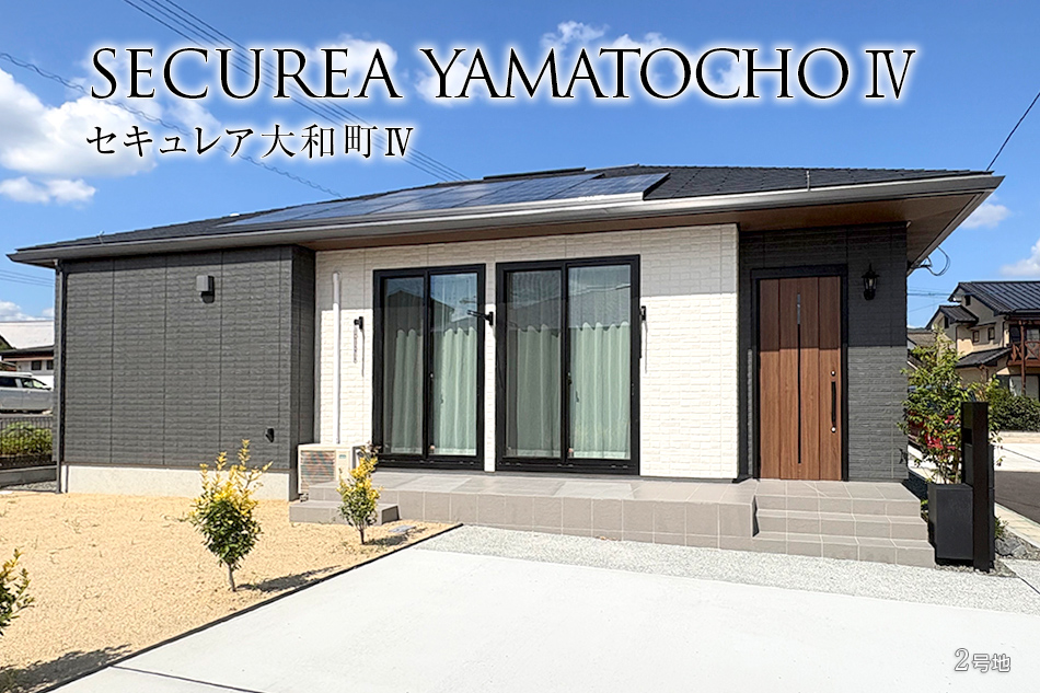 2号地