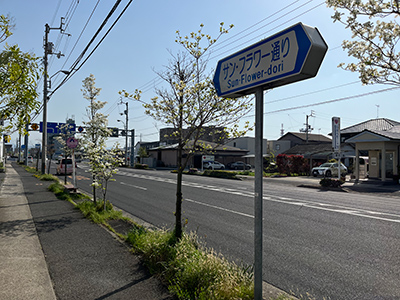 サン・フラワー通り