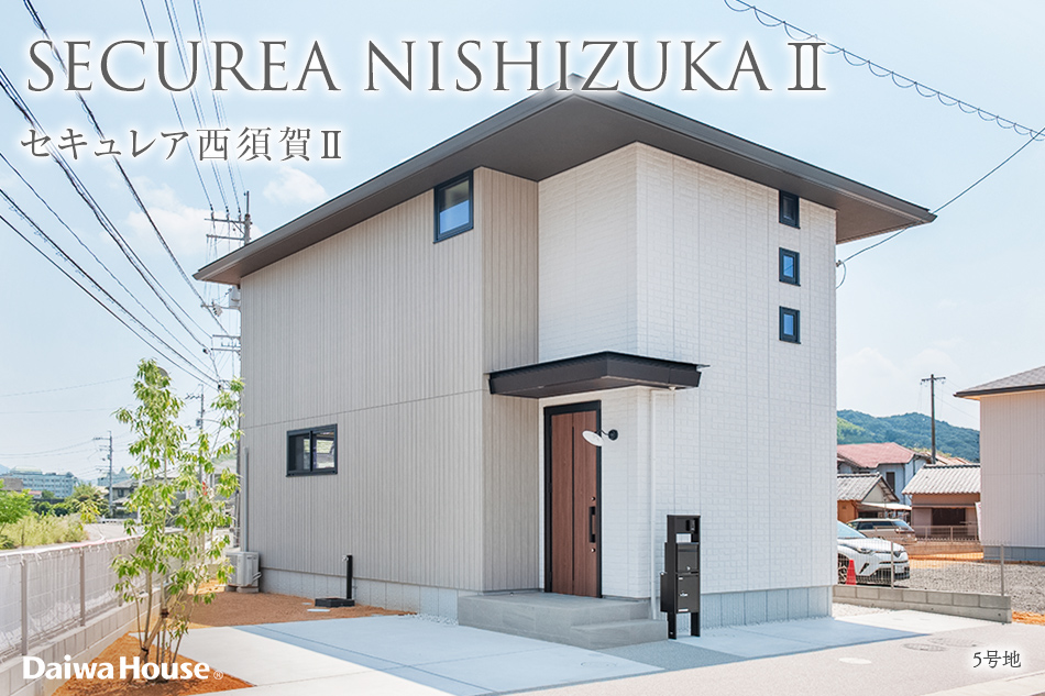 5号地