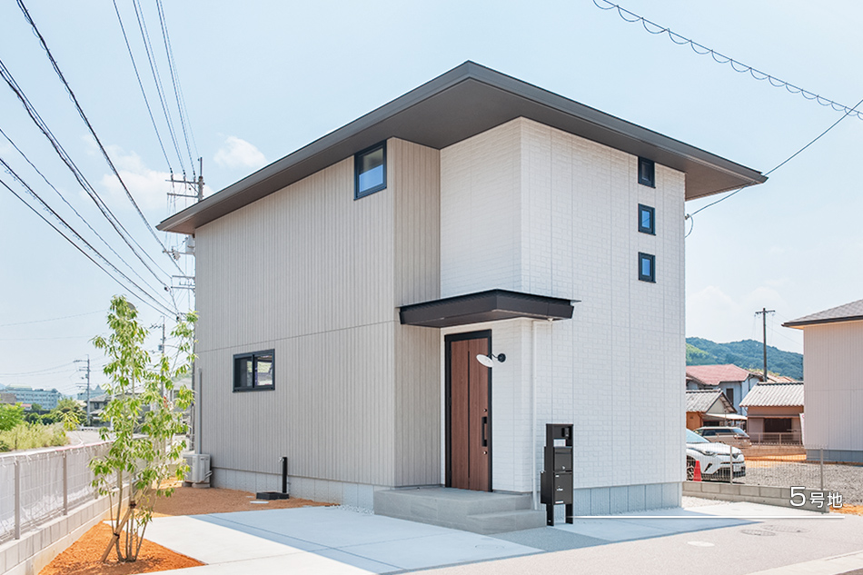 5号地