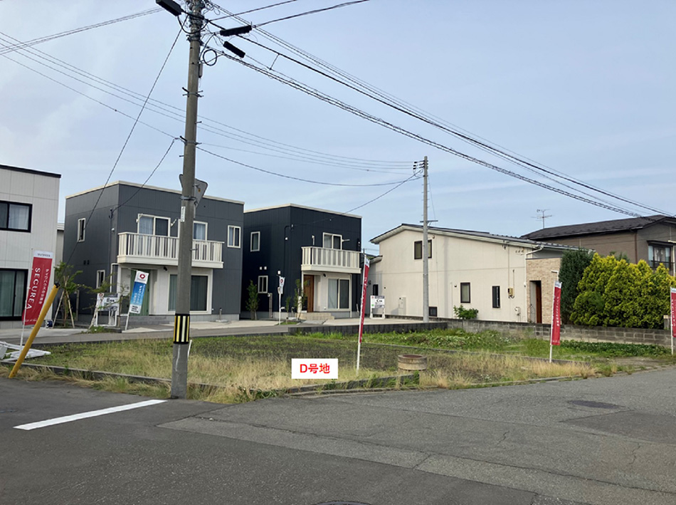D号地