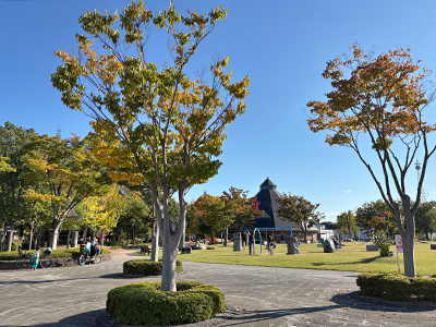 21世紀記念公園