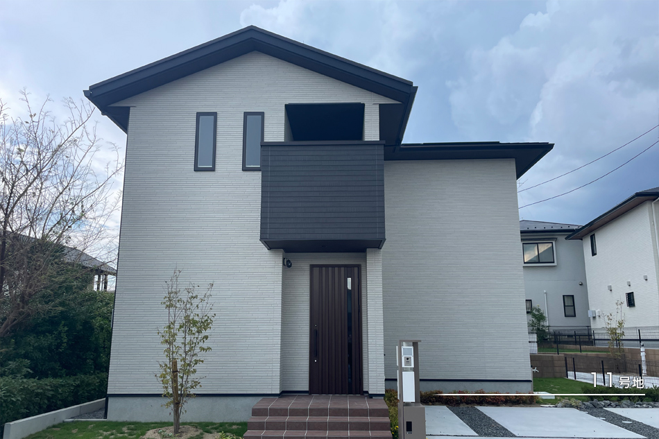 11号地
