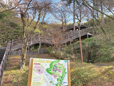 松ヶ岡公園