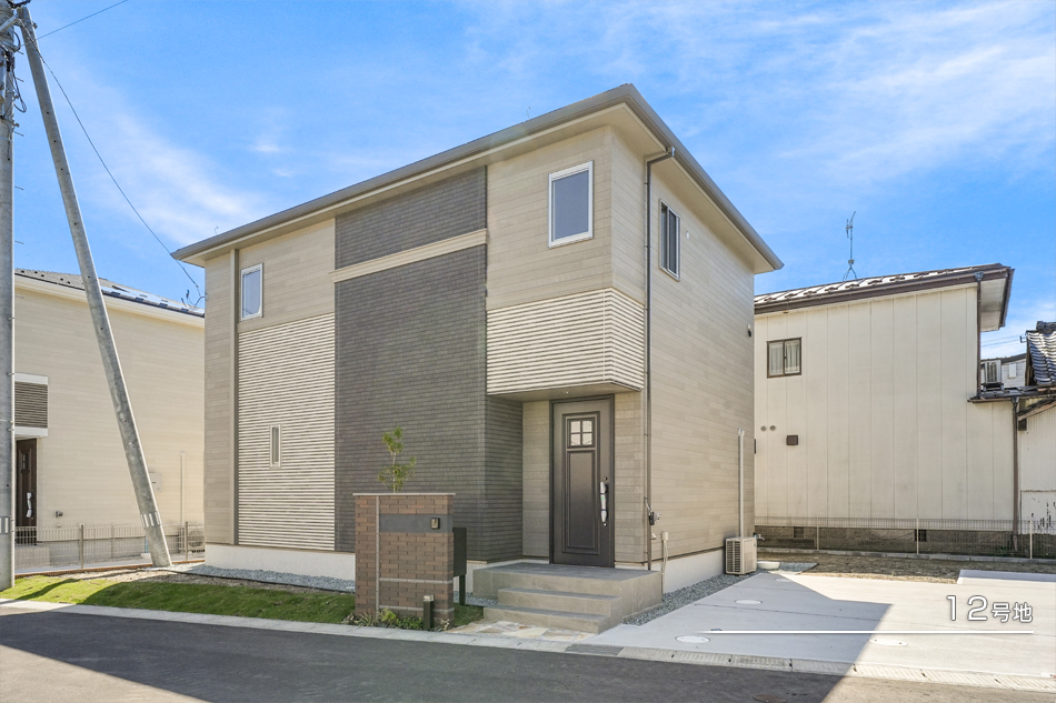 12号地