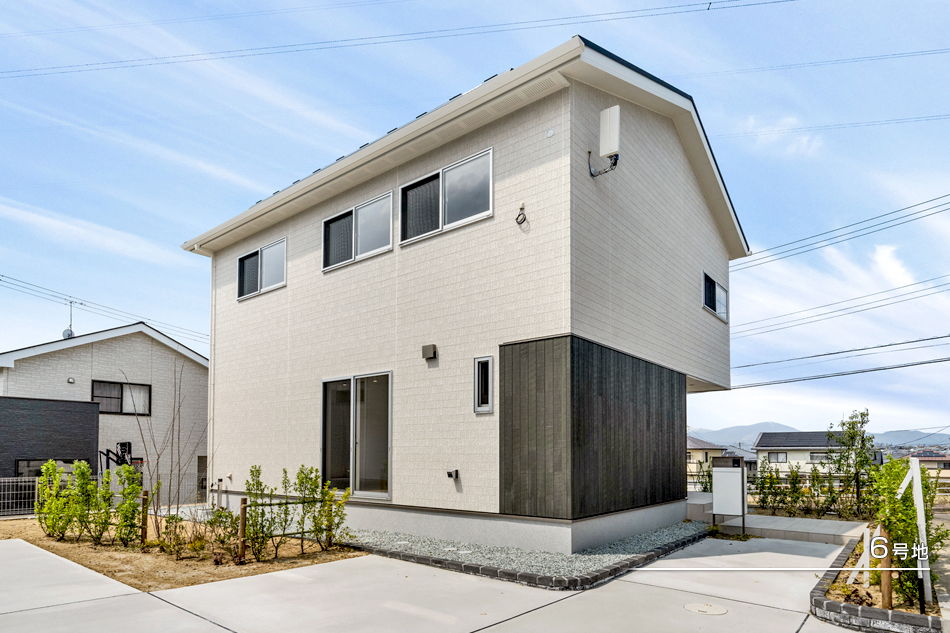 6号地