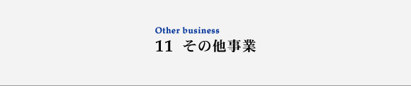 11 ̑