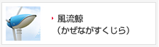 風流鯨（かぜながすくじら）