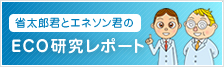 eco研究レポート