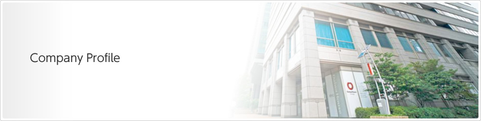 Company Profile