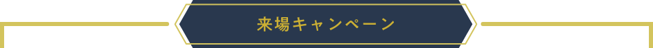 来場キャンペーン