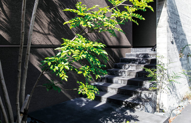 アプローチ階段に木々の影がつくる、印象的なエントランスの表