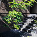 アプローチ階段に木々の影がつくる、印象的なエントランスの表 サムネイル