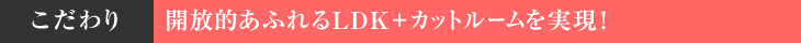 こだわり　開放的あふれるLDK＋かっとルームを実現！