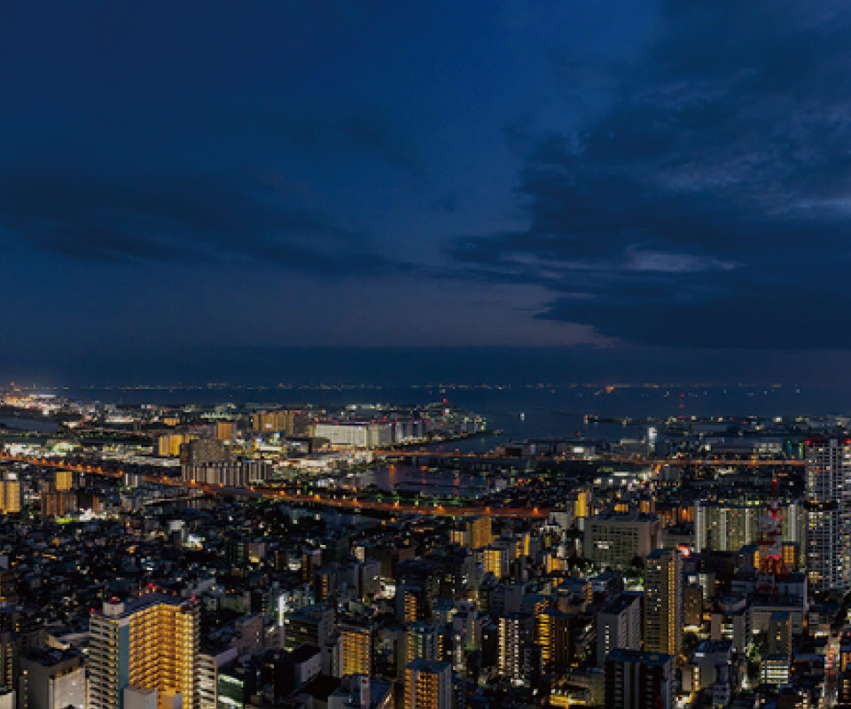 眺望写真（51階相当）