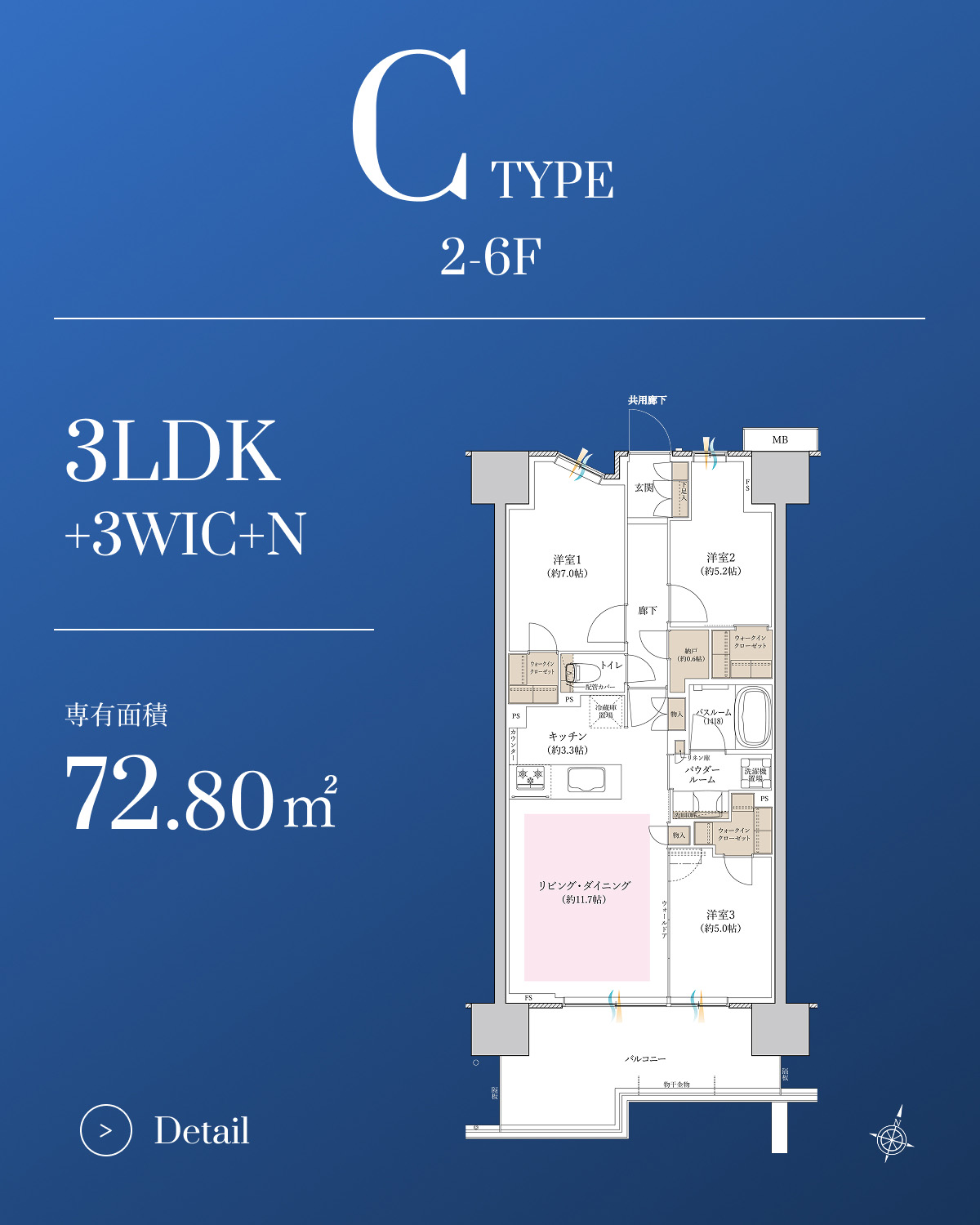 C TYPE