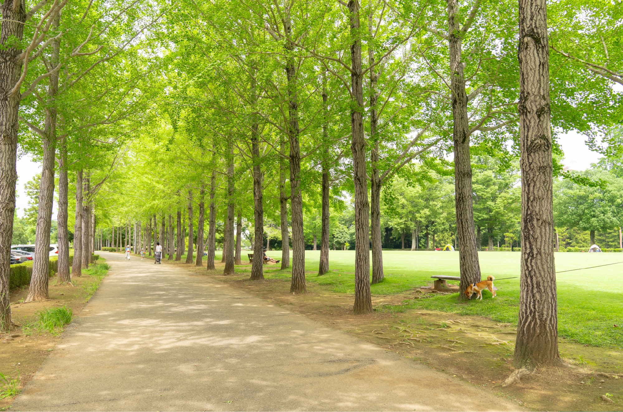 Science Expo Memorial Park