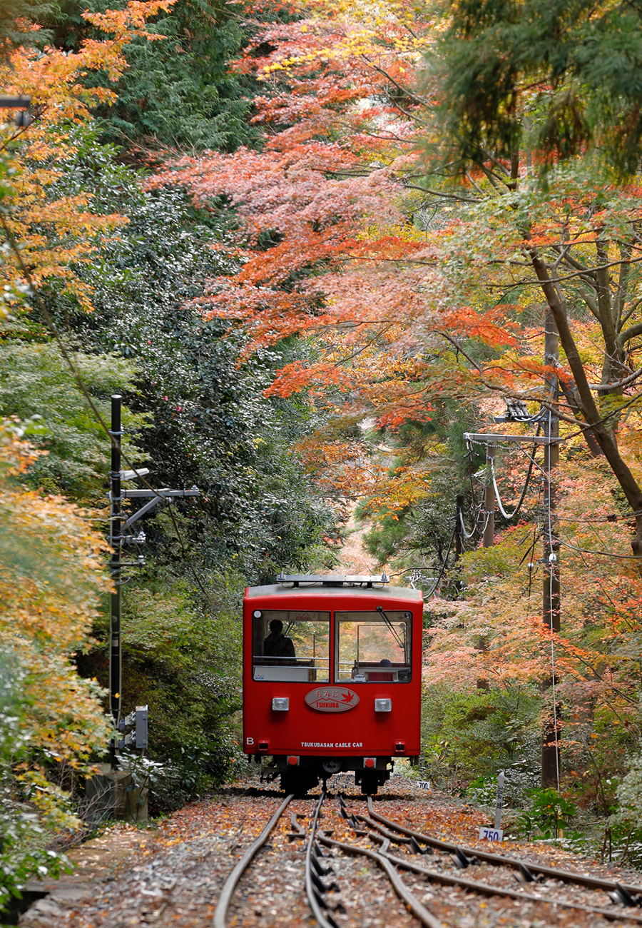 筑波山ケーブルカー（約25km)