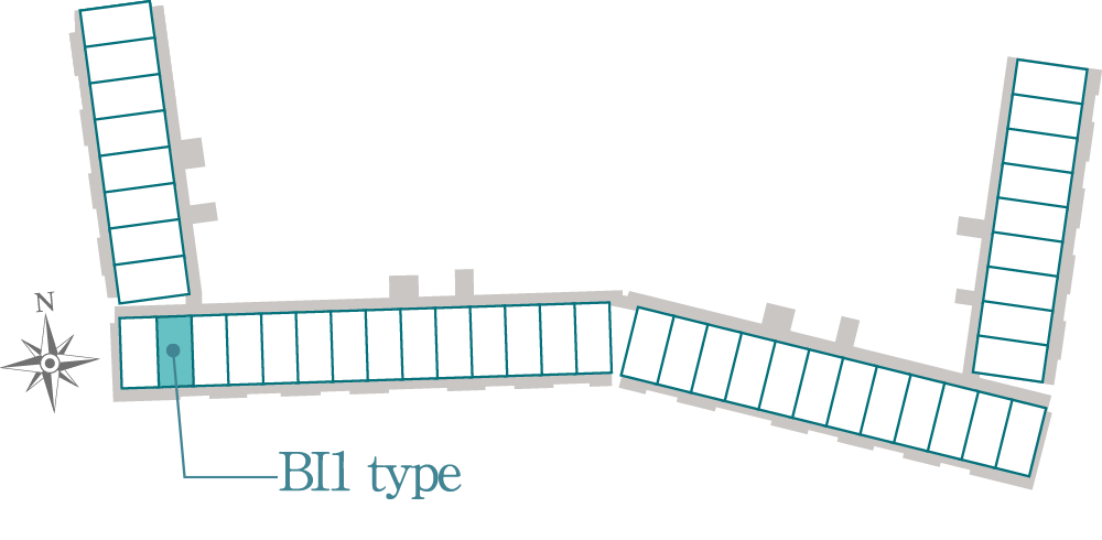 BI1 type