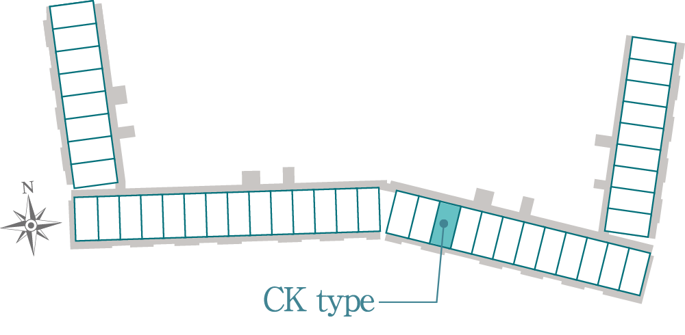 CK type