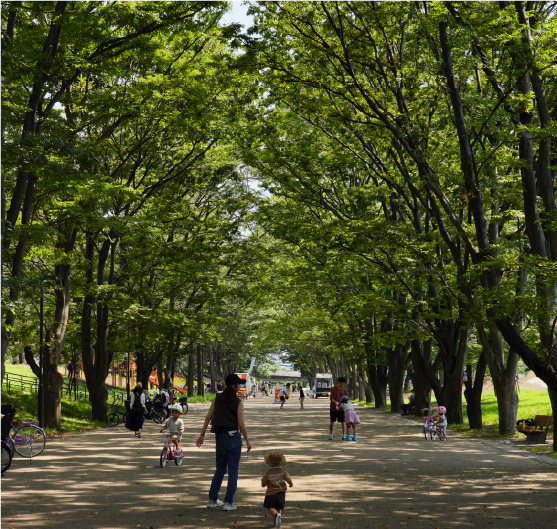 鶴間公園