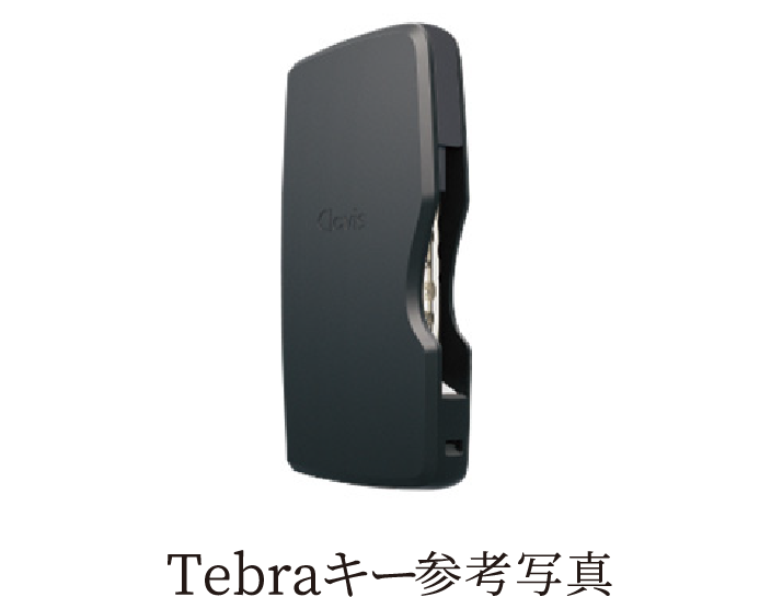 Tebraキー参考写真