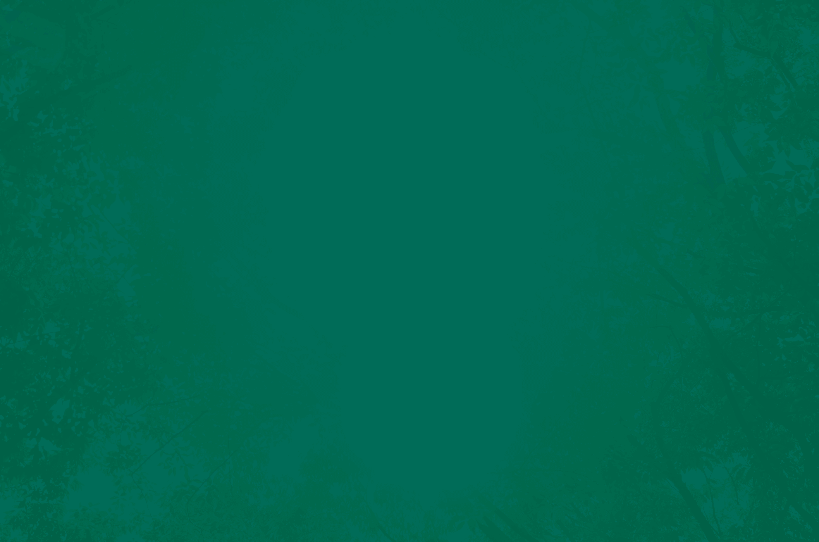 image photo