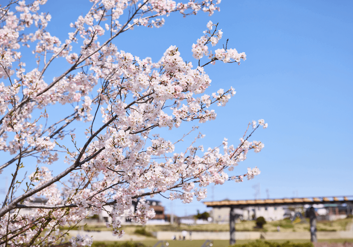 鶴見花月園公園 徒歩5分