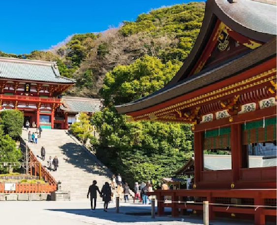 鶴岡八幡宮 車で約41分（約29.5km）