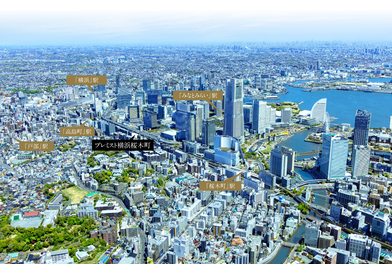 航空写真