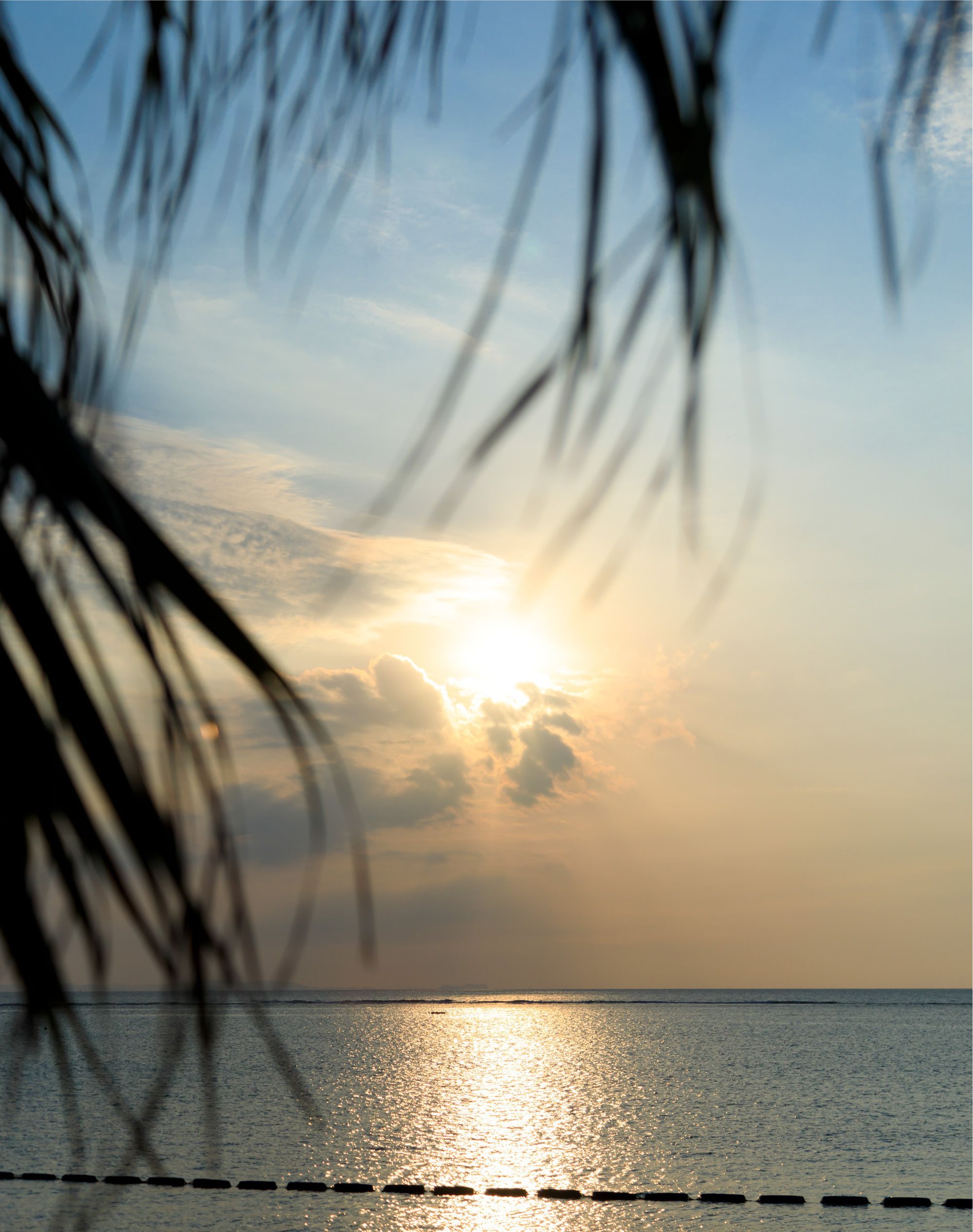 アラハビーチ・安良波公園（徒歩4分）