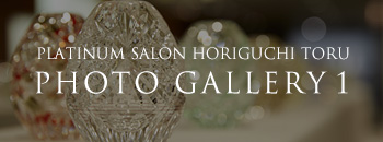 PLATINUM SALON HORIGUCHI TORU PHOTO GALLERY 1
