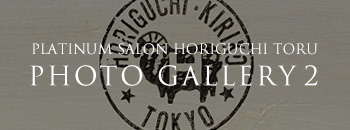 PLATINUM SALON HORIGUCHI TORU PHOTO GALLERY 2