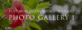PLATINUM SALON MIYAGI NOUHOU PHOTO GALLERY 1