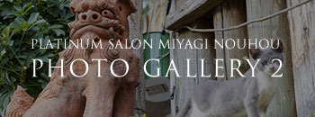 PLATINUM SALON MIYAGI NOUHOU PHOTO GALLERY 2