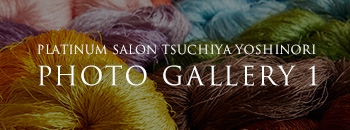 PLATINUM SALON TSUCHIYA YOSHINORI PHOTO GALLERY 1