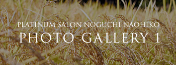 PLATINUM SALON NOGUCHI NAOHIKO PHOTO GALLERY 1