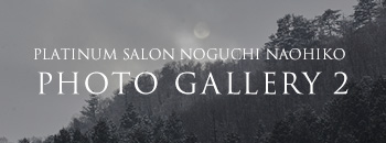 PLATINUM SALON NOGUCHI NAOHIKO PHOTO GALLERY 2