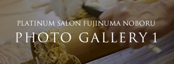　PLATINUM SALON FUJINUMA NOBORU PHOTO GALLERY 1
